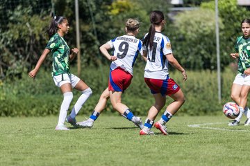 Bild 179 - wBJ Hamburger SV - VfL Wolfsburg : Ergebnis: 5:1